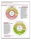 Review of Selected Policies and Practices and Connections to Student Learning