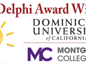 Delphi award header graphic final